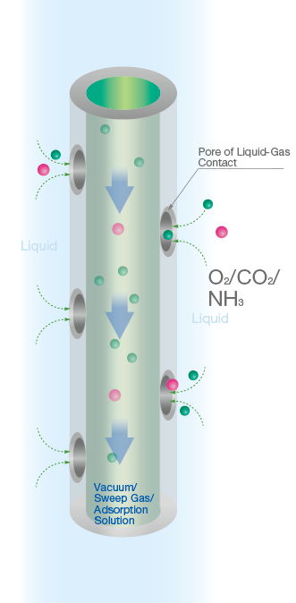 Degassing Membrane 05 cbt.png
